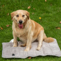 Serviette sèche de bain pour chien en chenille en microfibre douce